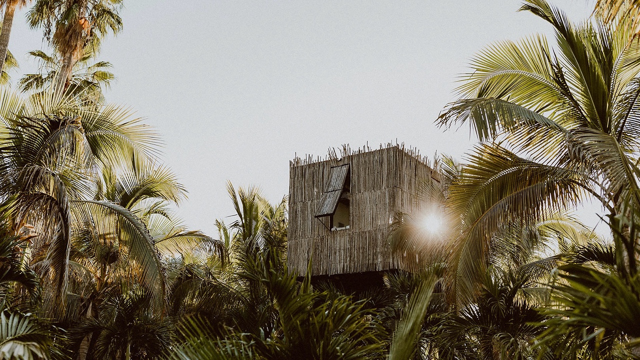 Acre Treehouse