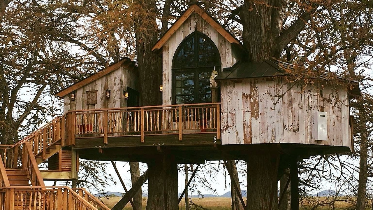 Treehouse Utopia