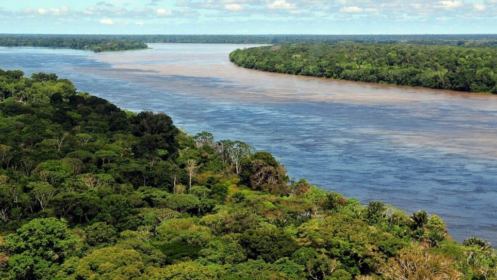 Amazon Rainforest, South America