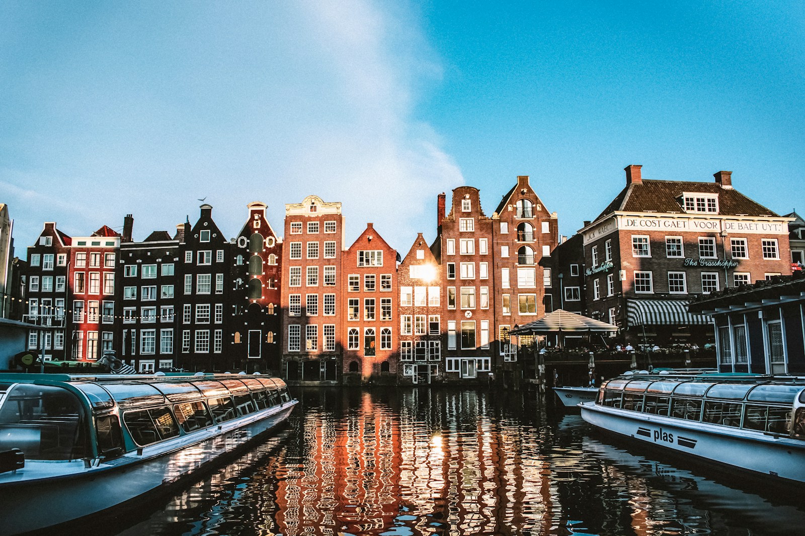houses near body of water