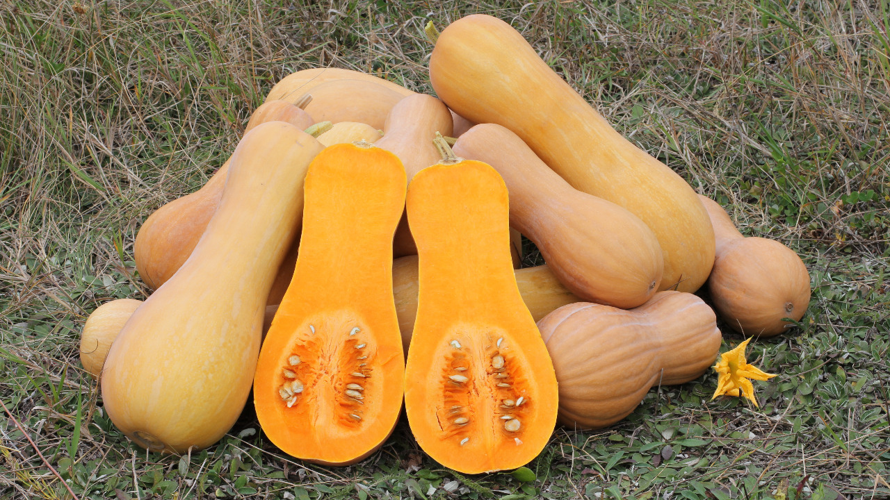 Image Credit: George Chernilevsky - Public domain/Wiki Commons