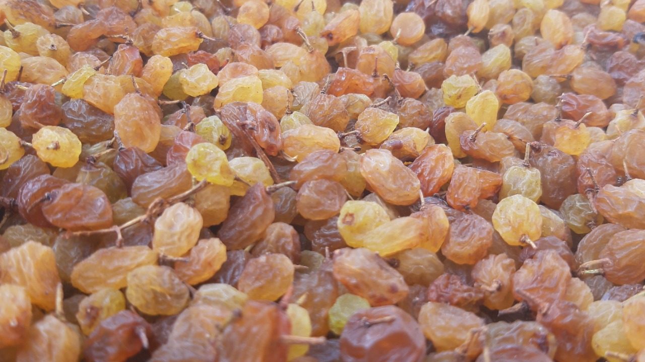 Image Credit: حسین رونقی - CC BY-SA 4.0/Wiki Commons