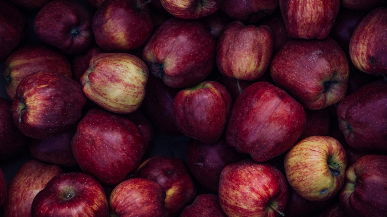 Dagmara Dombrovska/Pexels