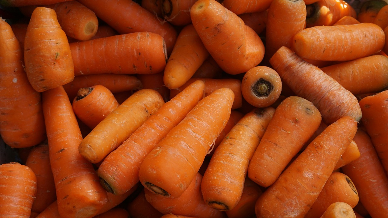 syauqy_photos/Unsplash
