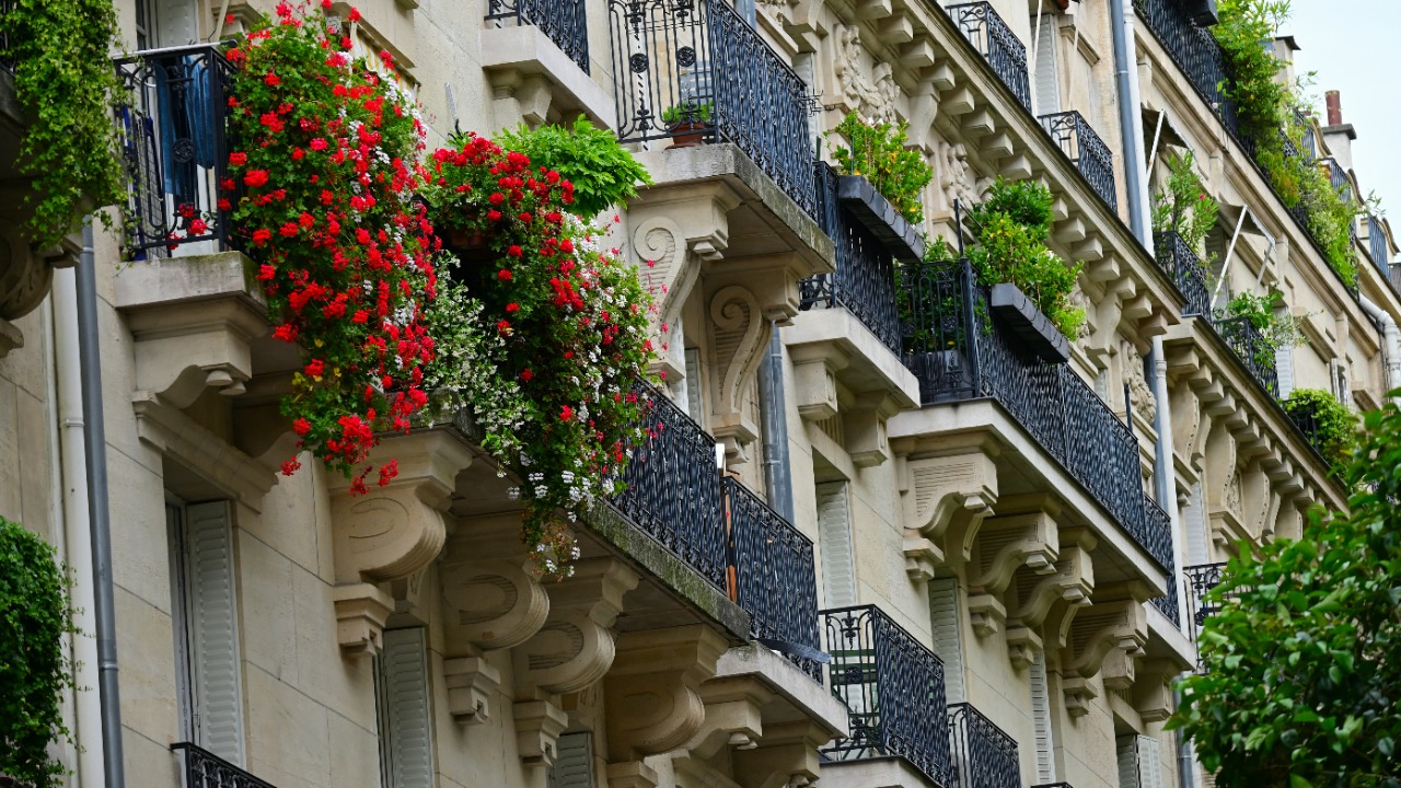 aminzabardast/Unsplash