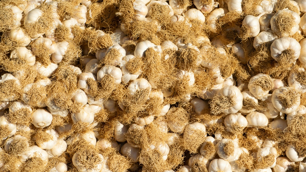 Çiğdem Bilgin/Pexels