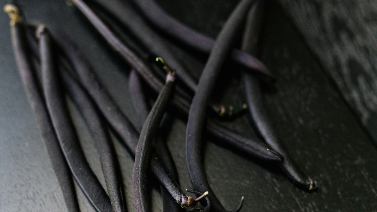 Photo By: Kaboompics.com/Pexels