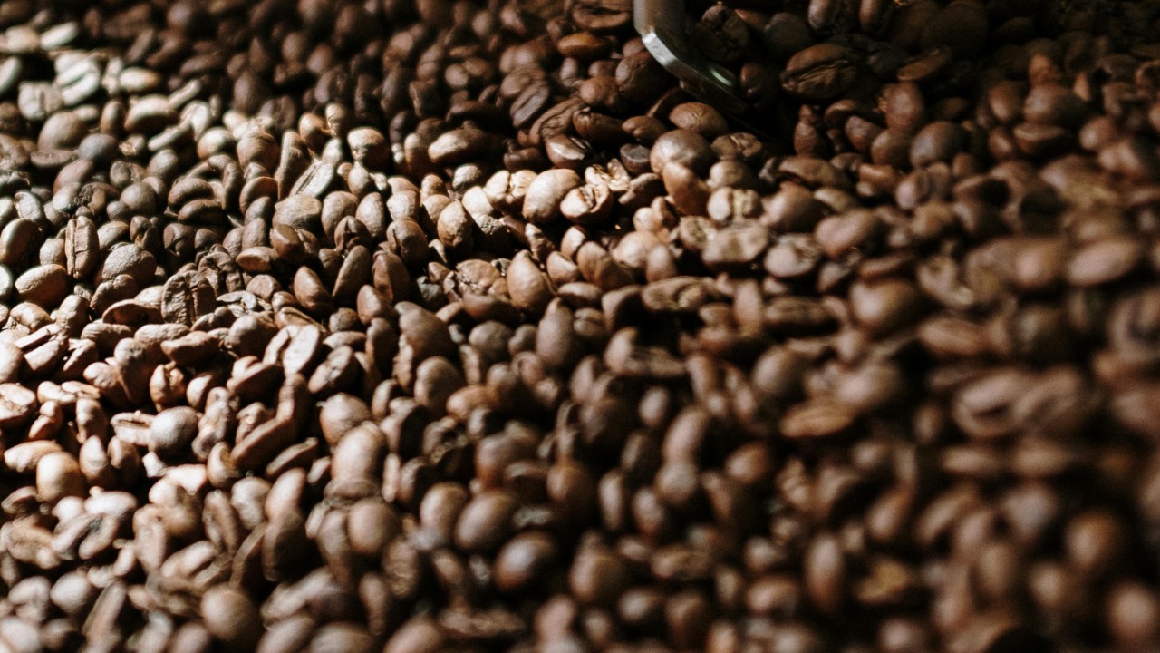 cottonbro studio/Pexels