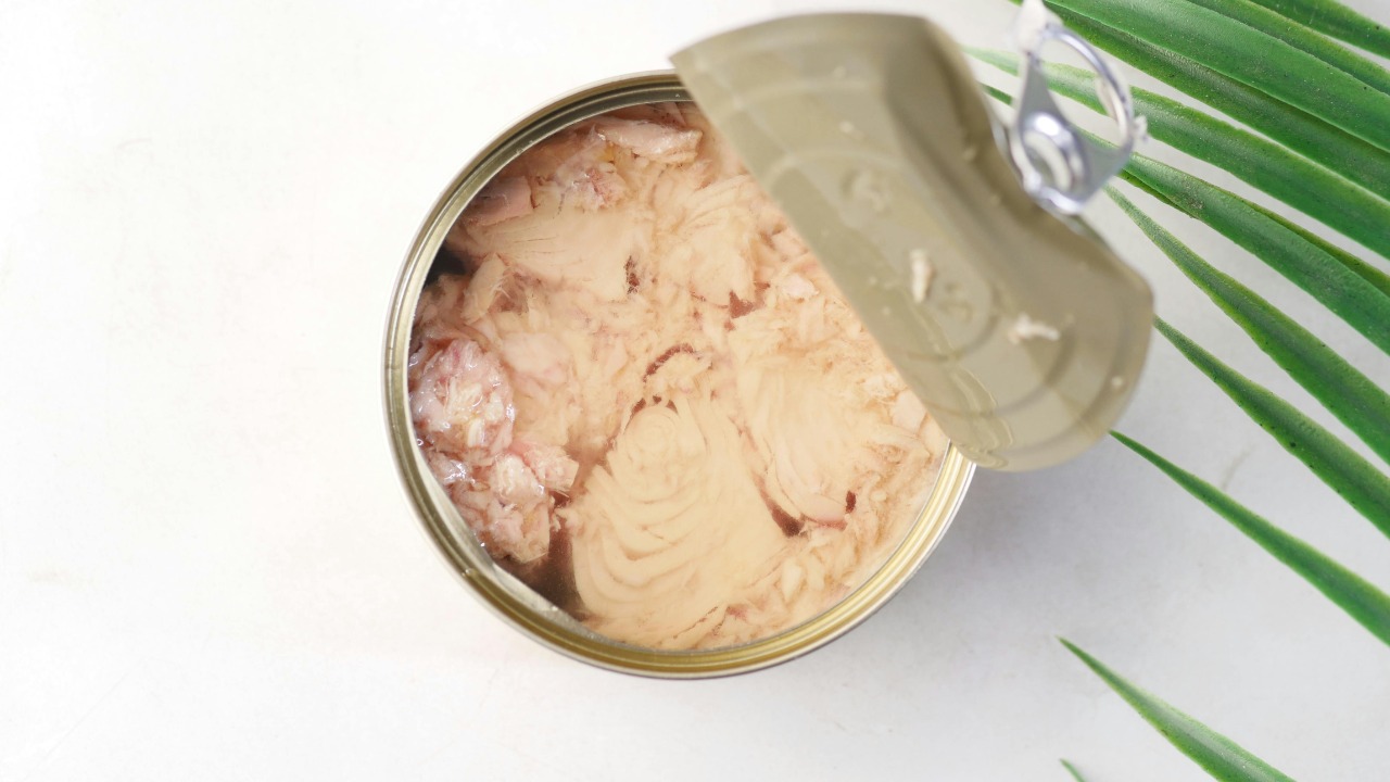 Towfiqu barbhuiya/Pexels