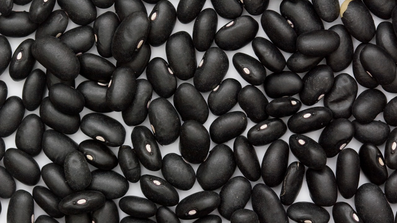 Image Credit: Sanjay Acharya - CC BY-SA 3.0/Wiki Commons