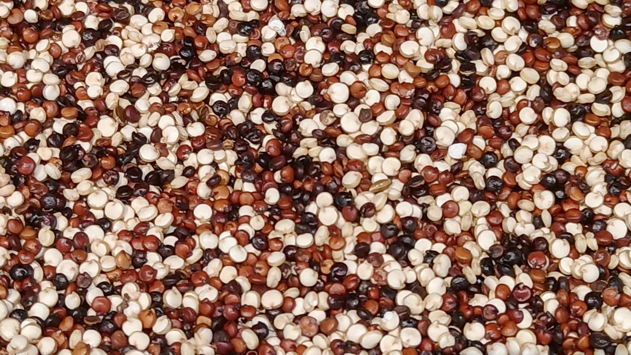 Image Credit: Fumikas Sagisavas - CC0/Wiki Commons