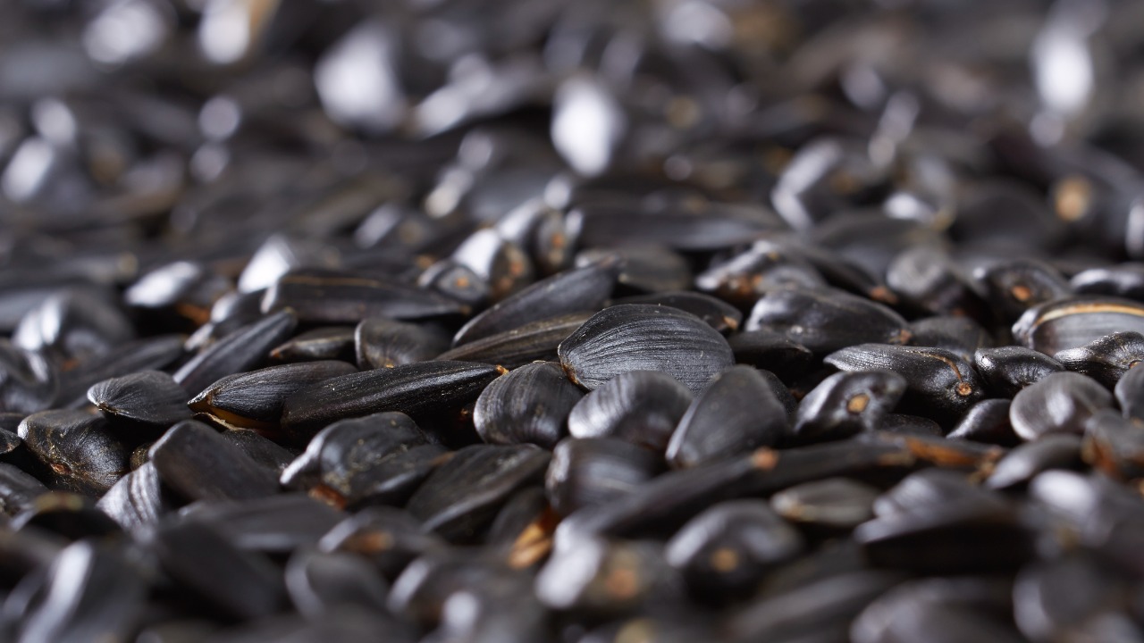 Image Credit: Dmitry Makeev - CC BY-SA 4.0/Wiki Commons