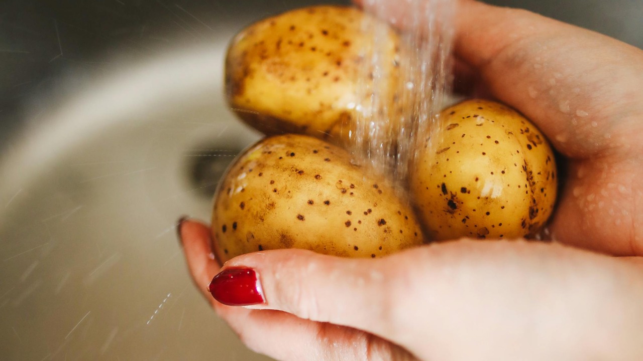 Polina Tankilevitch/Pexels