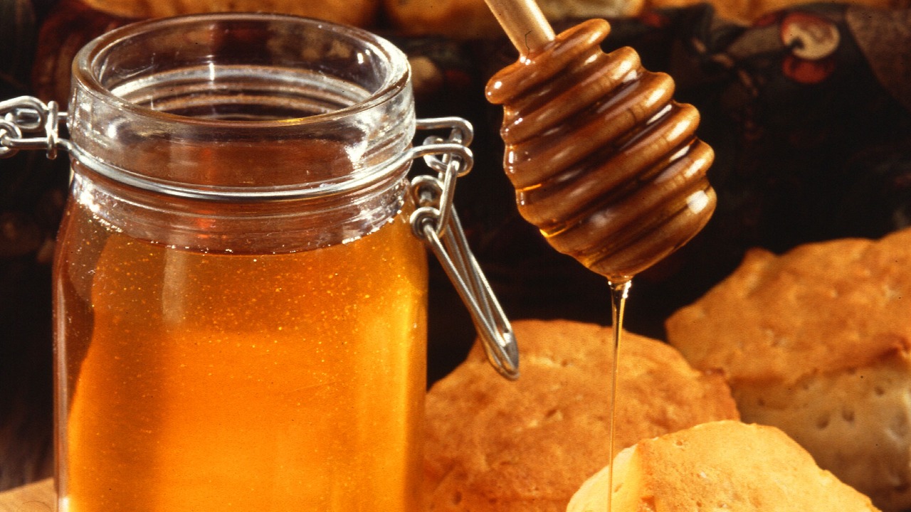 Image Credit: Scott Bauer, USDA ARS - Public domain/Wiki Commons