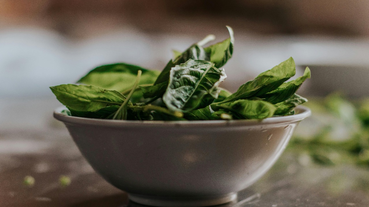 Rodolfo Quirós/Pexels