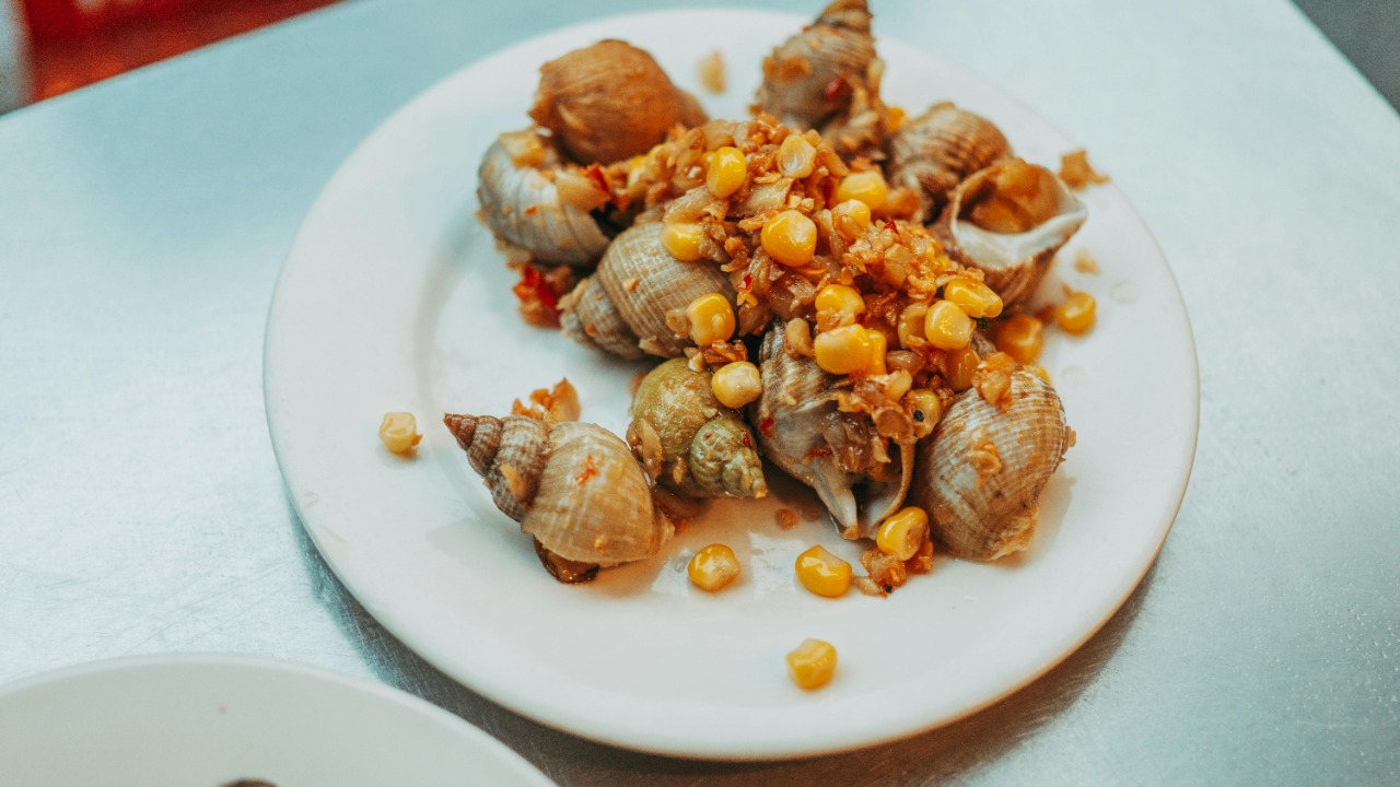 FOX ^.ᆽ.^= ∫/Pexels