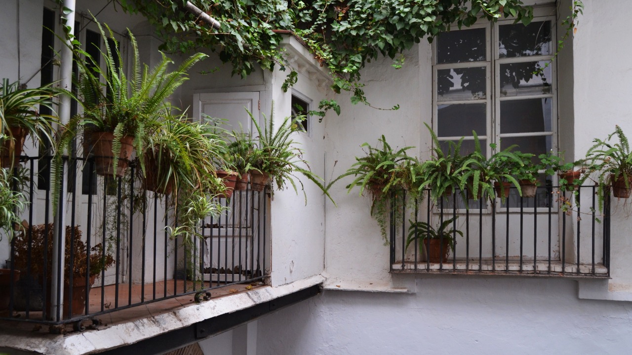 Image Credit: Joanbanjo - CC BY-SA 3.0/Wiki Commons