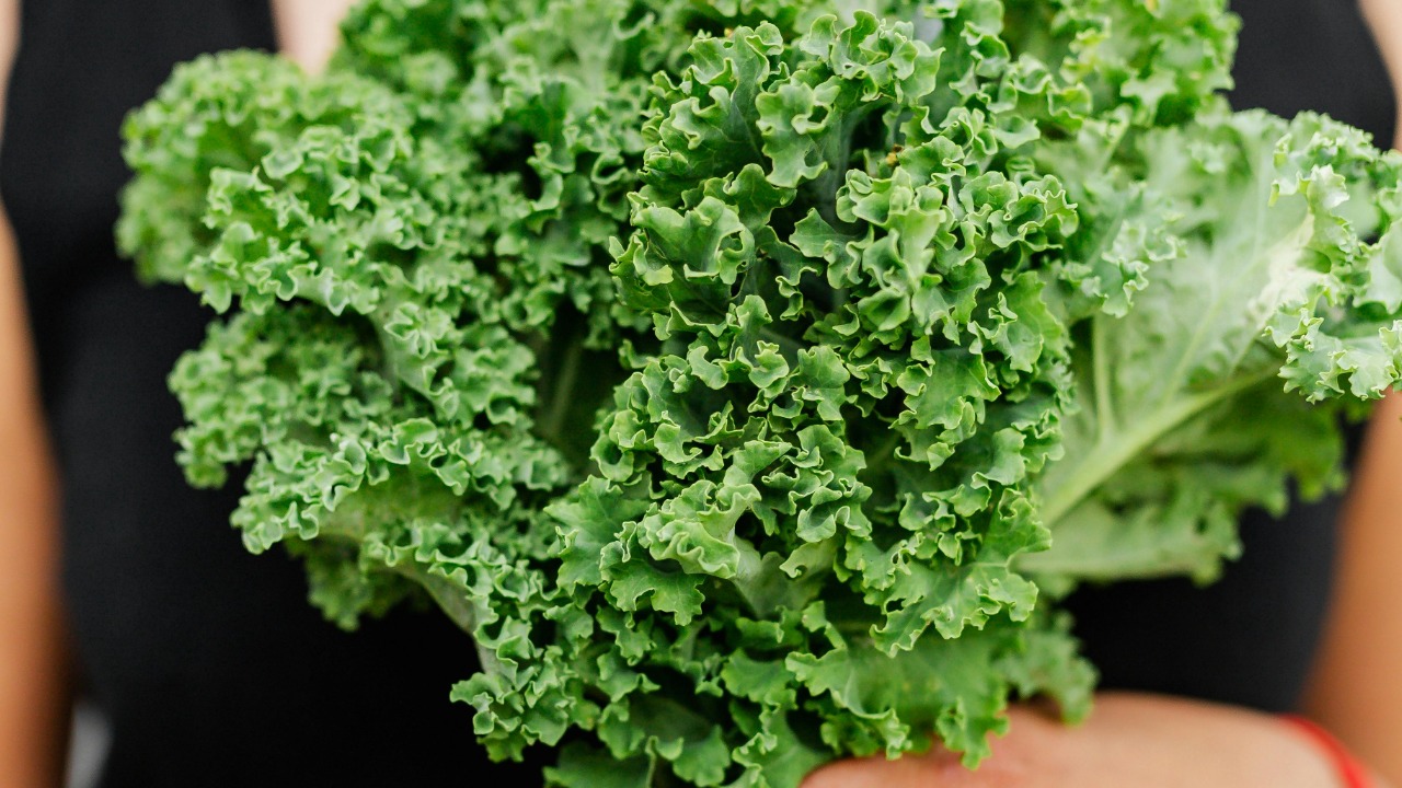 Photo By: Kaboompics.com/Pexels