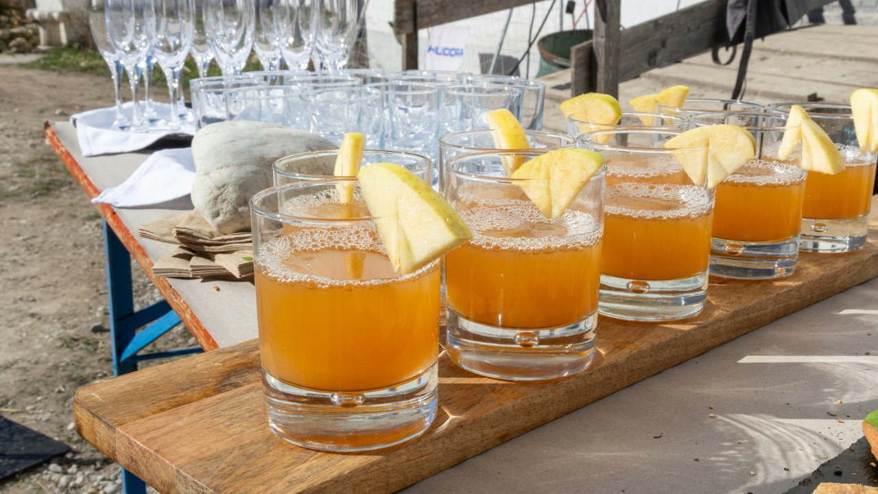 beingorganicineu/Unsplash