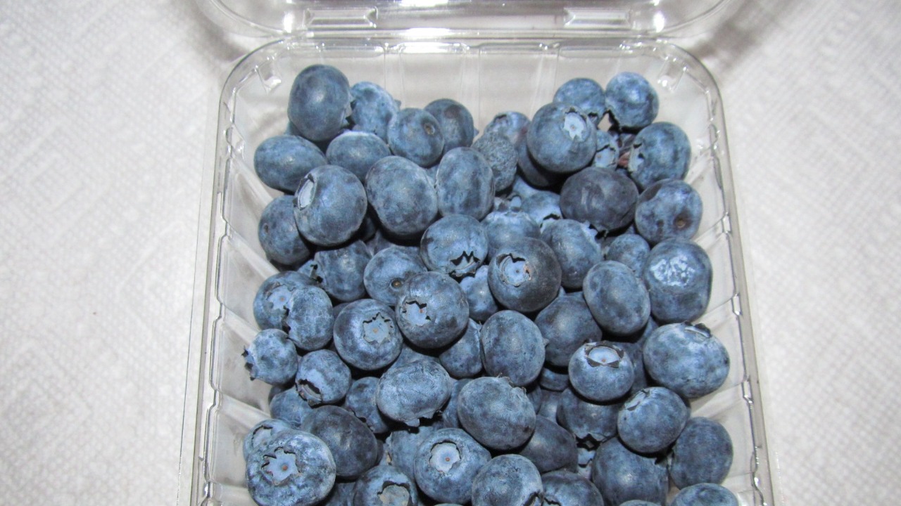 Image Credit: Willis Lam - CC BY-SA 2.0/Wiki Commons