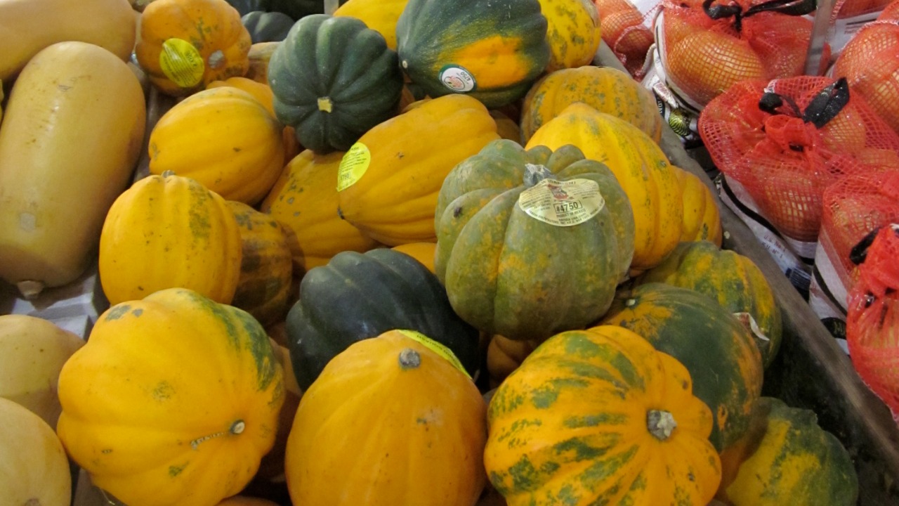 Image Credit: Infrogmation of New Orleans - CC BY 3.0/Wiki Commons