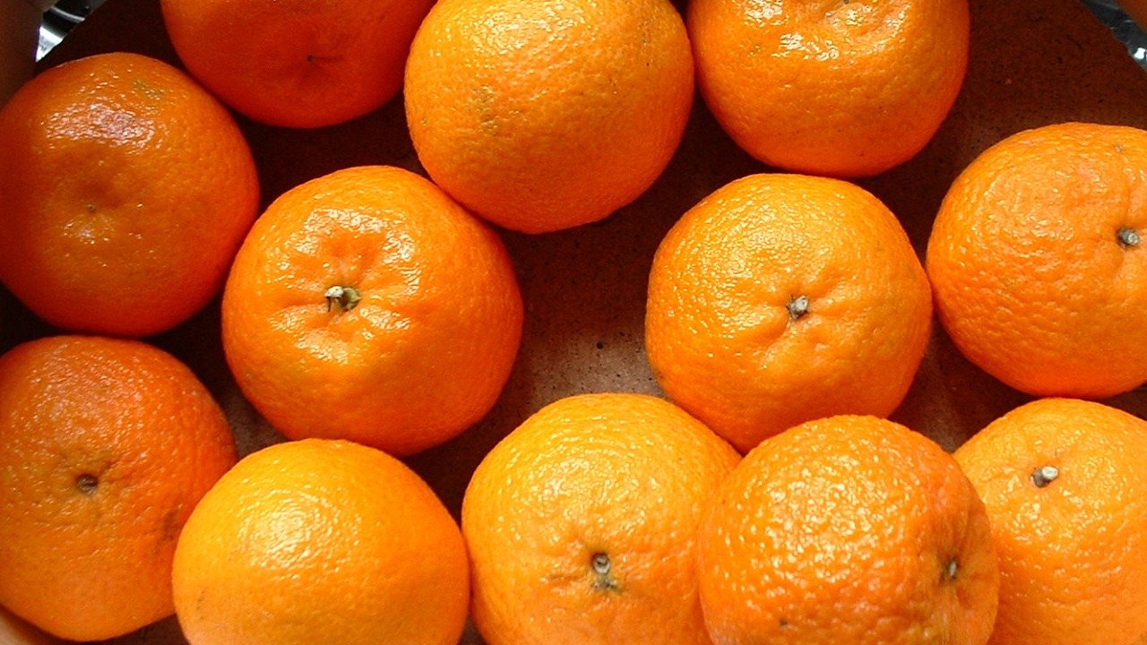 Image Credit: tracy from north brookfield,Massachusetts, usa - CC BY 2.0/Wiki Commons