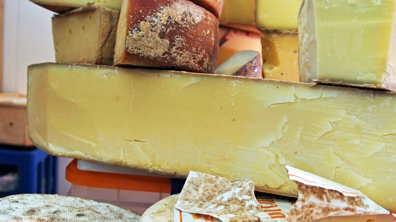 Image Credit: Eva K. / Eva K. - GFDL 1.2/Wiki Commons