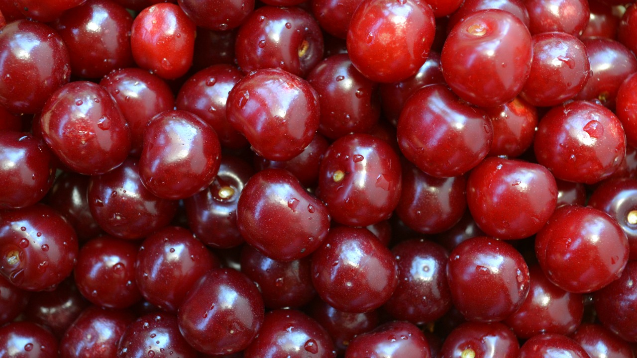 eugenegrunge/Unsplash