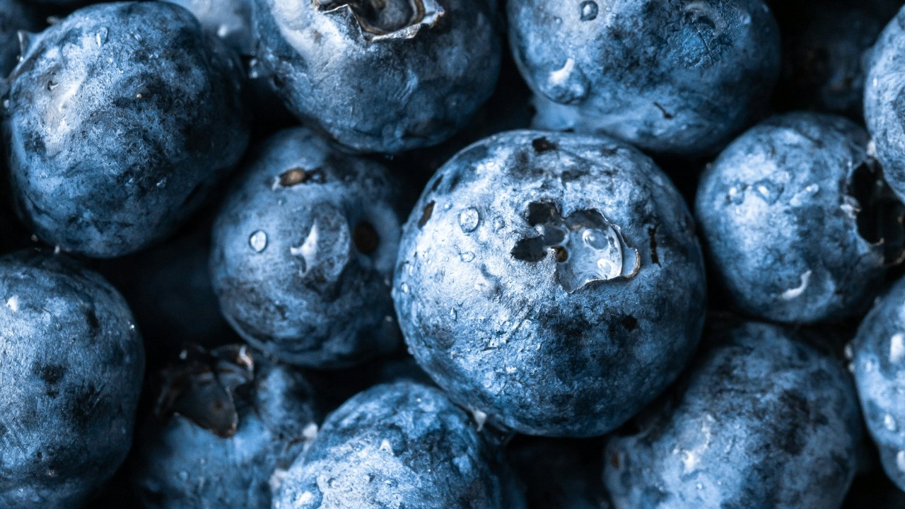 melissabelanger/Unsplash