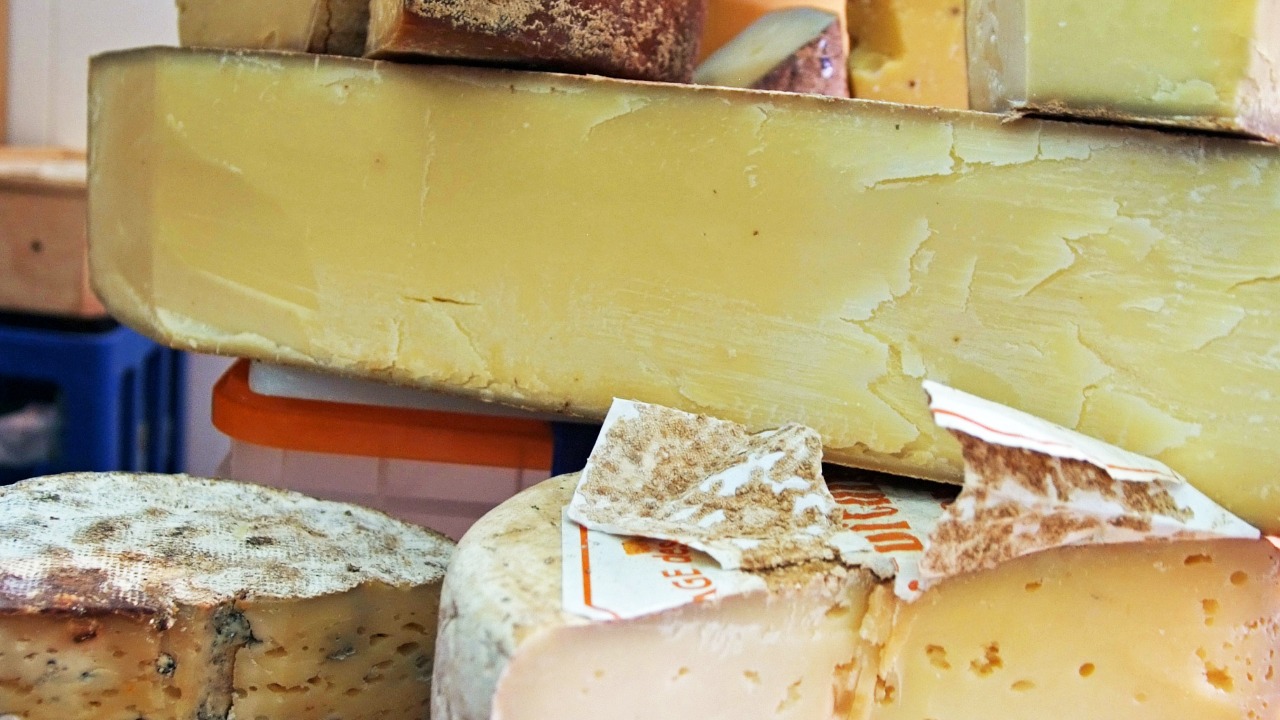 Image Credit: Eva K. / Eva K. - GFDL 1.2/Wiki Commons