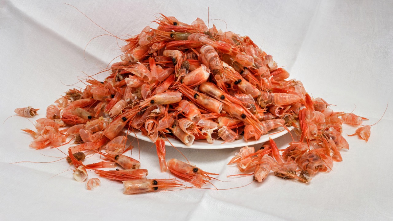 Image Credit: W.carter - CC BY-SA 4.0/Wiki Commons