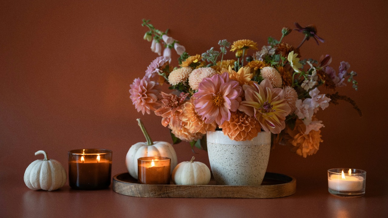 anitaaustvika/Unsplash