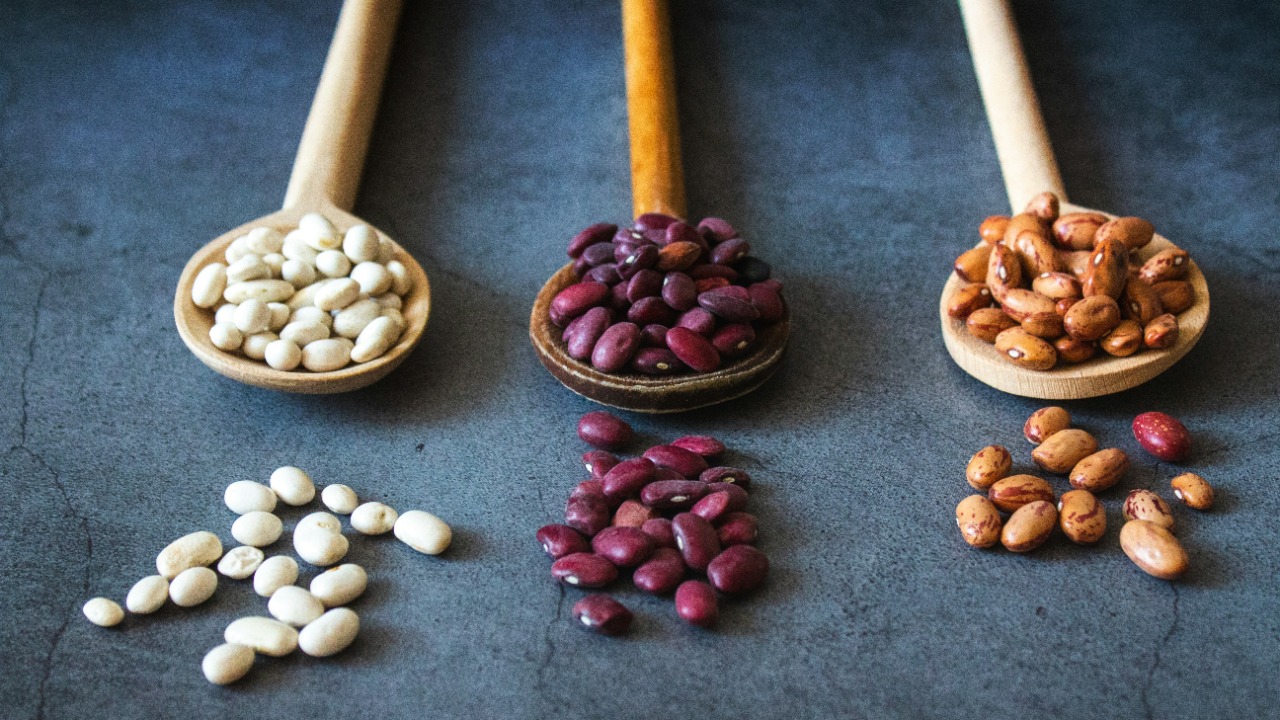 izgubljenausvemiru/Unsplash