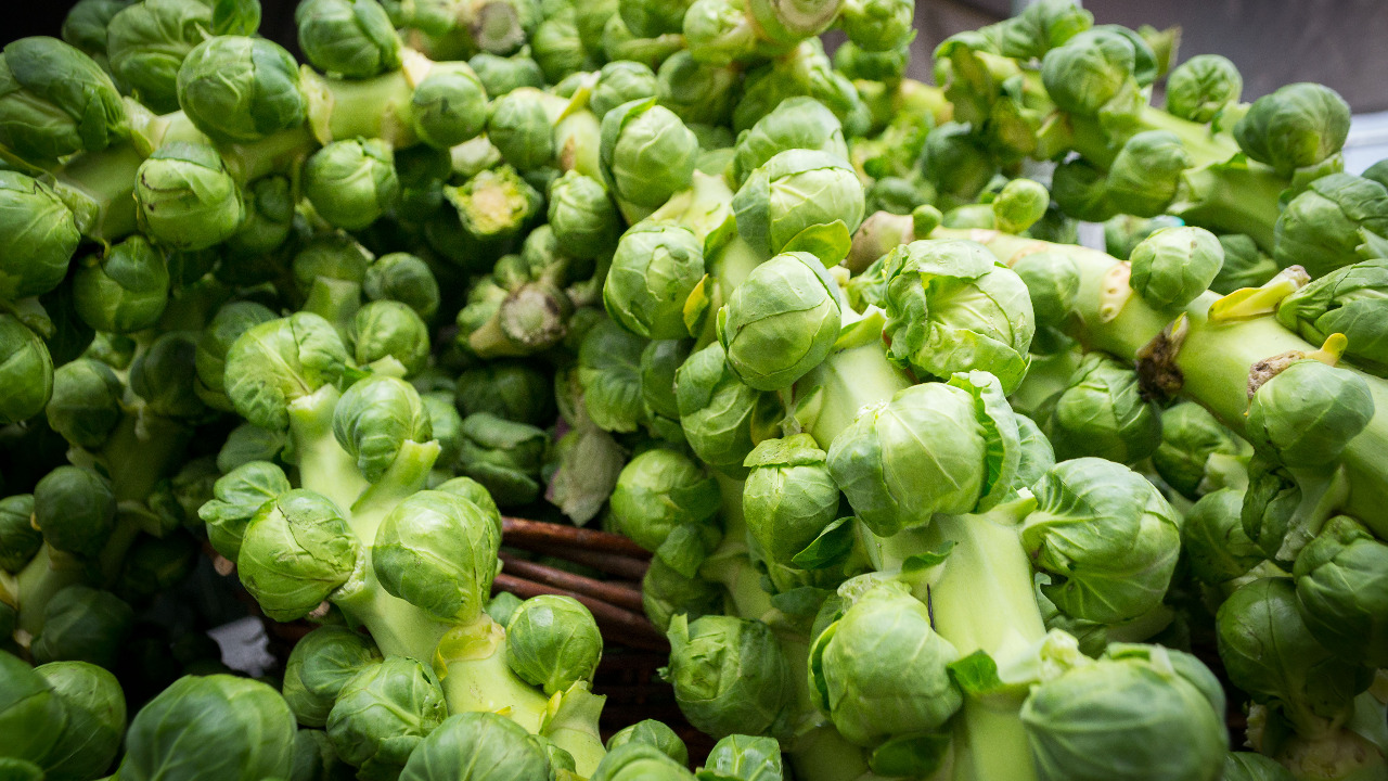 Image Credit: Visitor7 - CC BY-SA 3.0/Wiki Commons