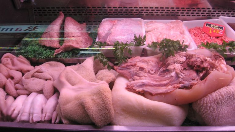 Image Credit: Gveret Tered - CC BY-SA 3.0/Wiki Commons