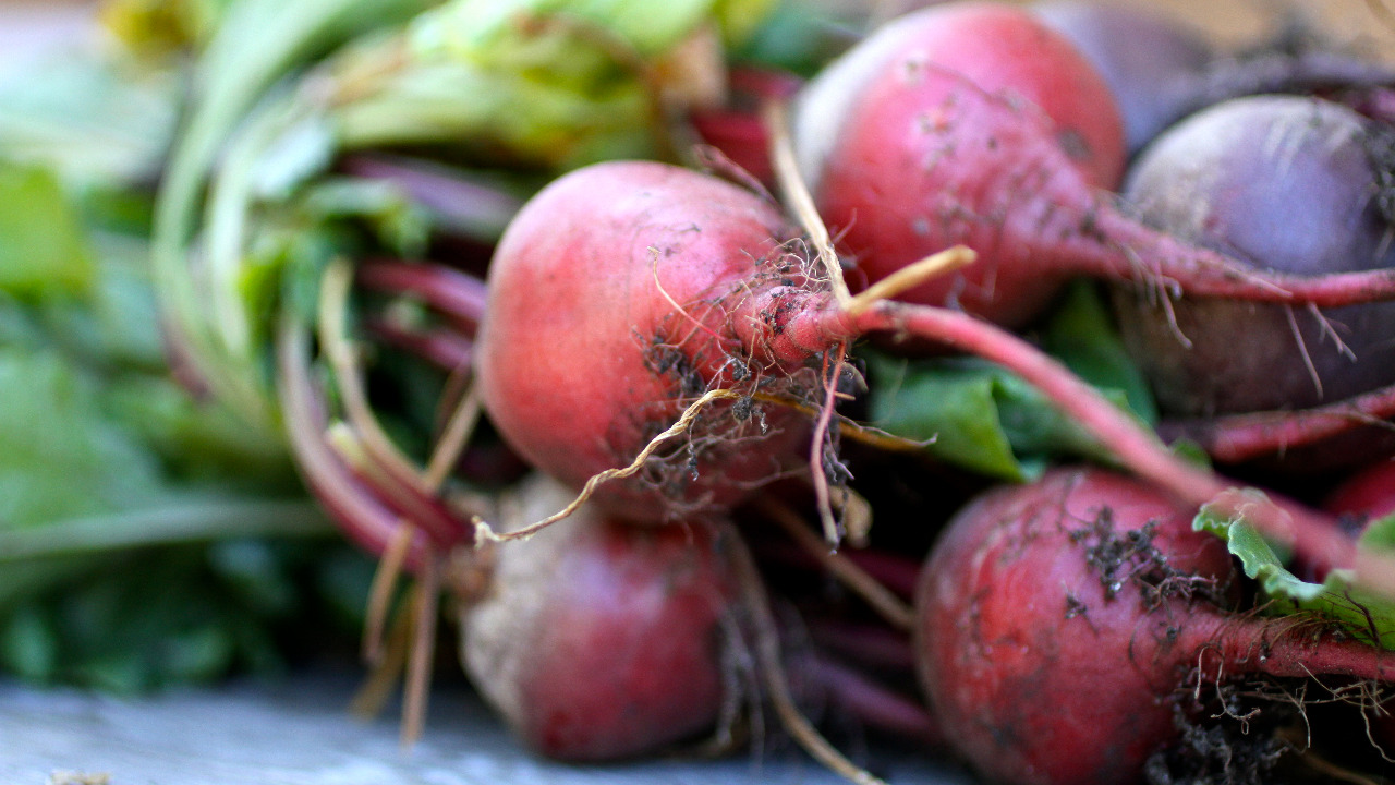 Image Credit: The Farmstrs - CC BY 2.0/Wiki Commons