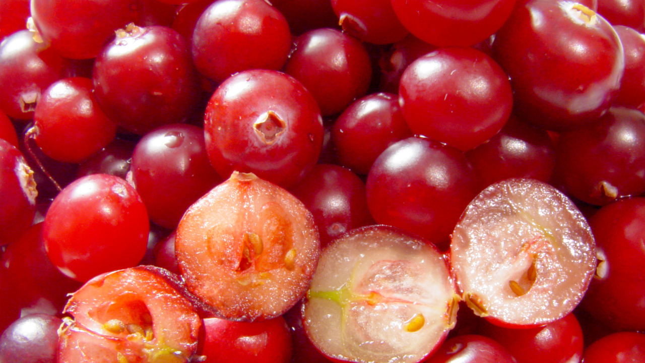 Image Credit: This photography was created by Mariluna. Other photos see here. - CC BY-SA 3.0/Wiki Commons