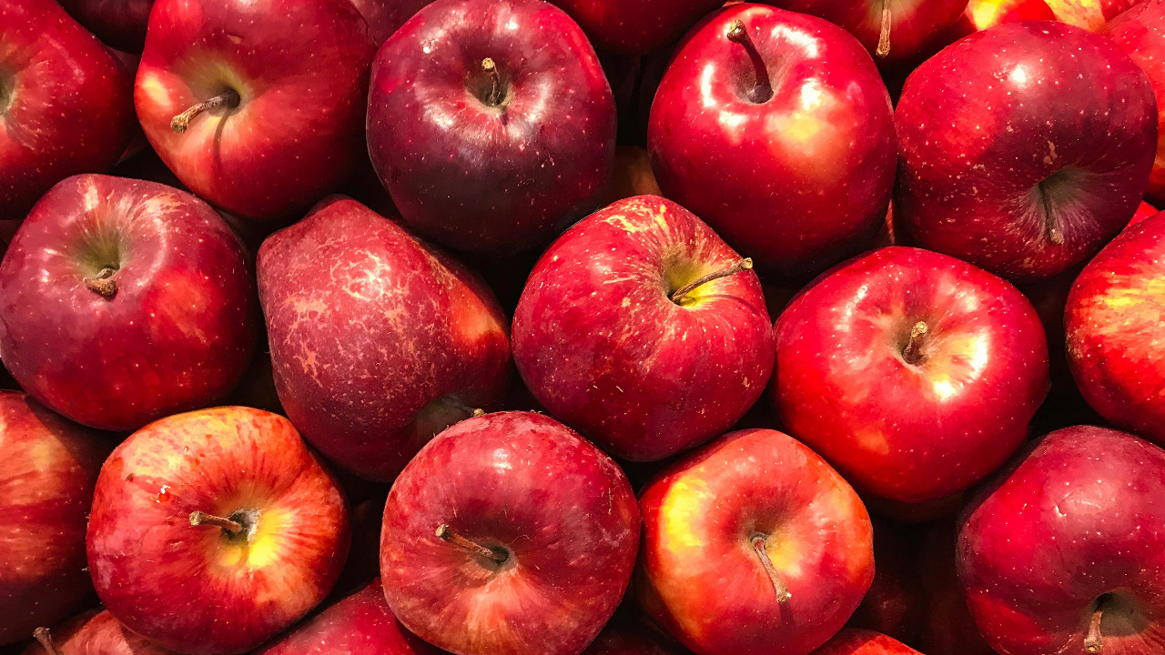 Matheus Cenali/Pexels