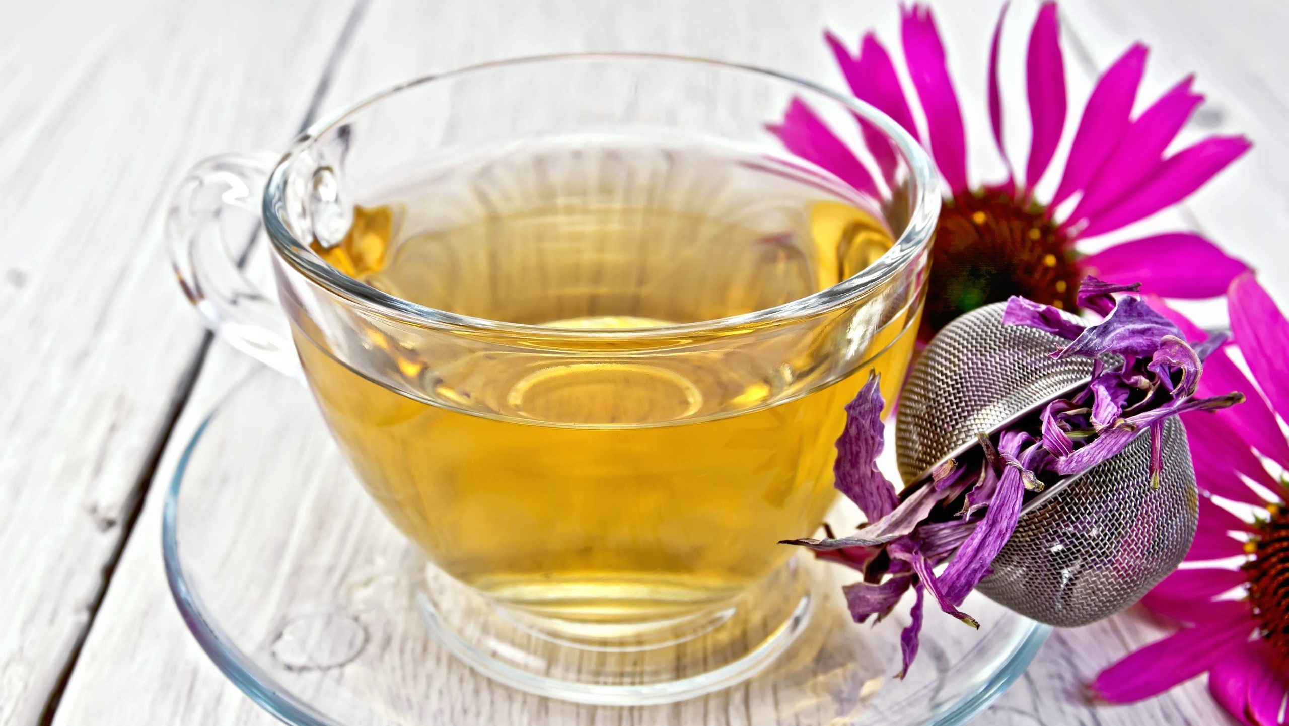 Herbal tea in a glass cup, metal sieve with dry flowers of Echinacea, Echinacea fresh flowers on the background light wooden boards