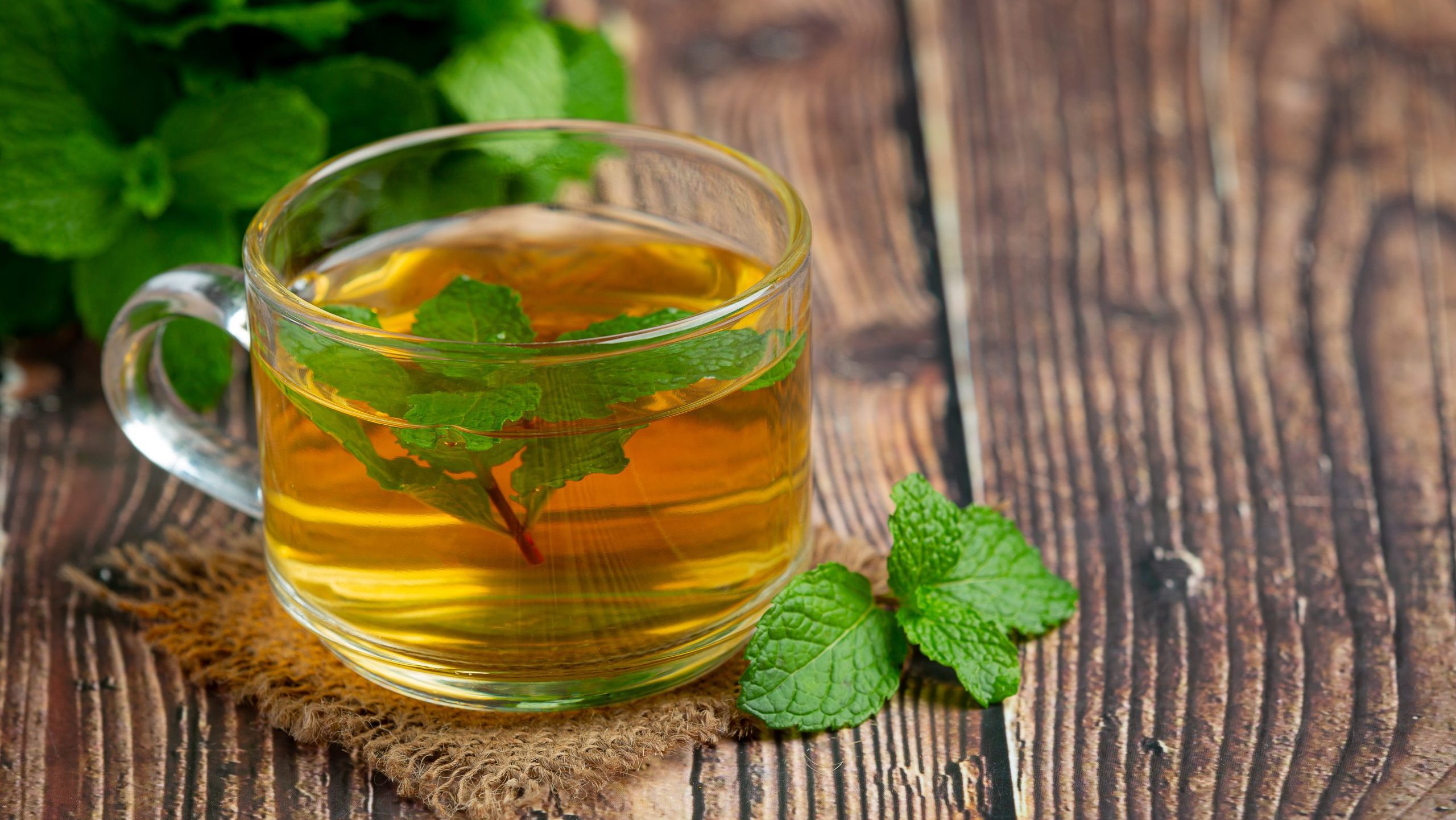 peppermint tea in glass ready to drink