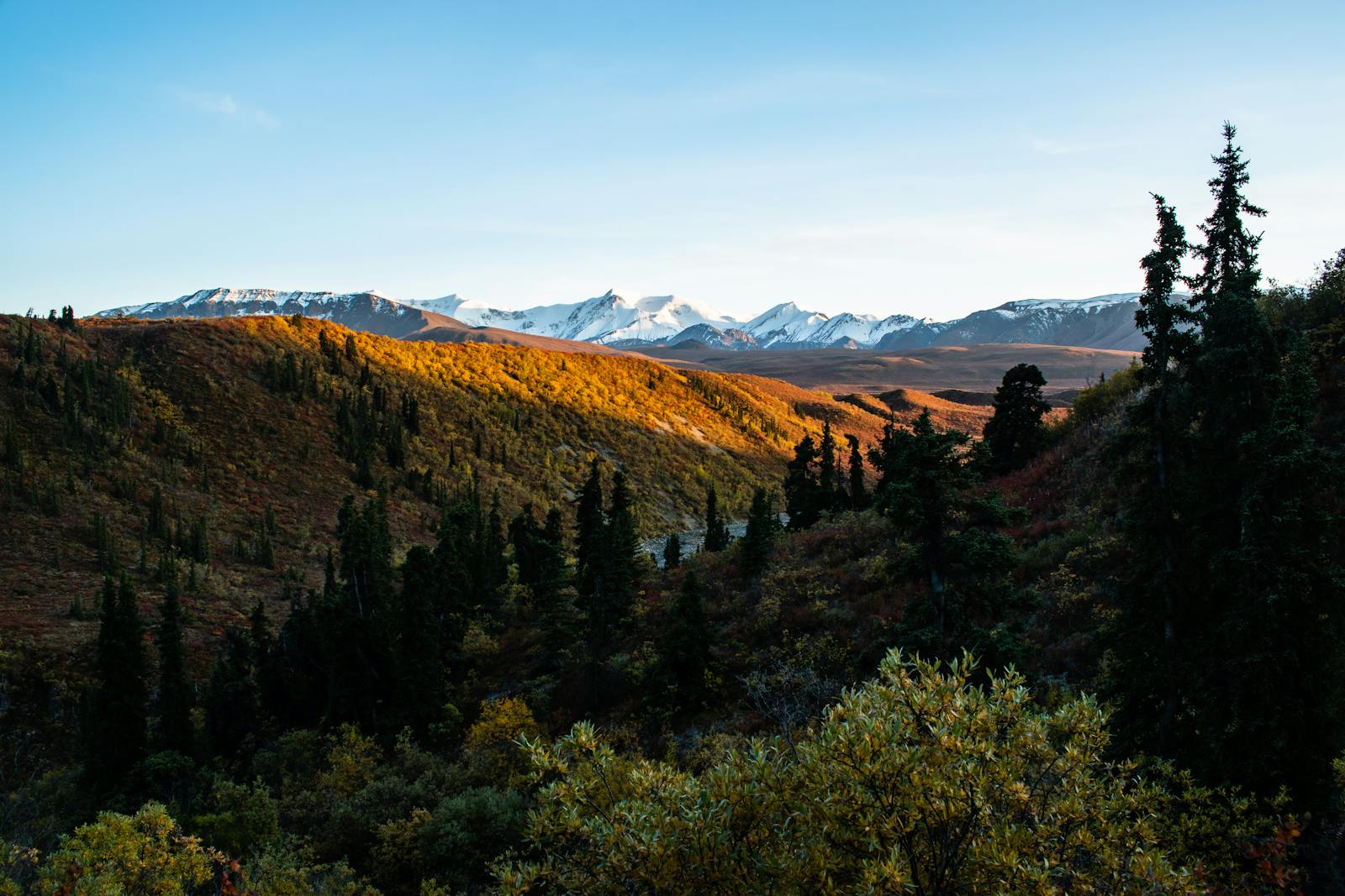 Breathtaking view of golden autumn hills and snow-capped mountains in Yukon, Canada.