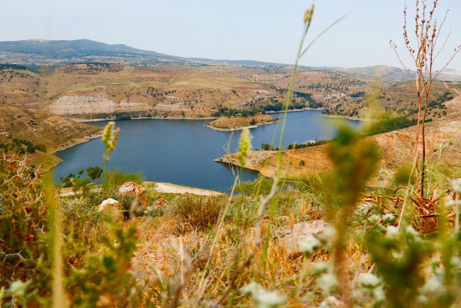Breathtaking view of Lago Reservoir surrounded by hills and plants in Amman, Jordan.