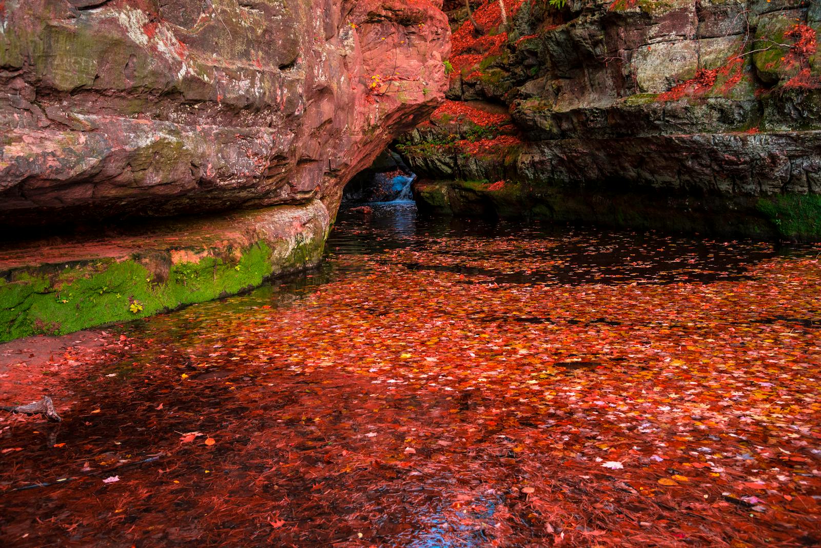 Colorful autumn leaves float on a scenic creek in Baraboo, Wisconsin, surrounded by rocky cliffs.