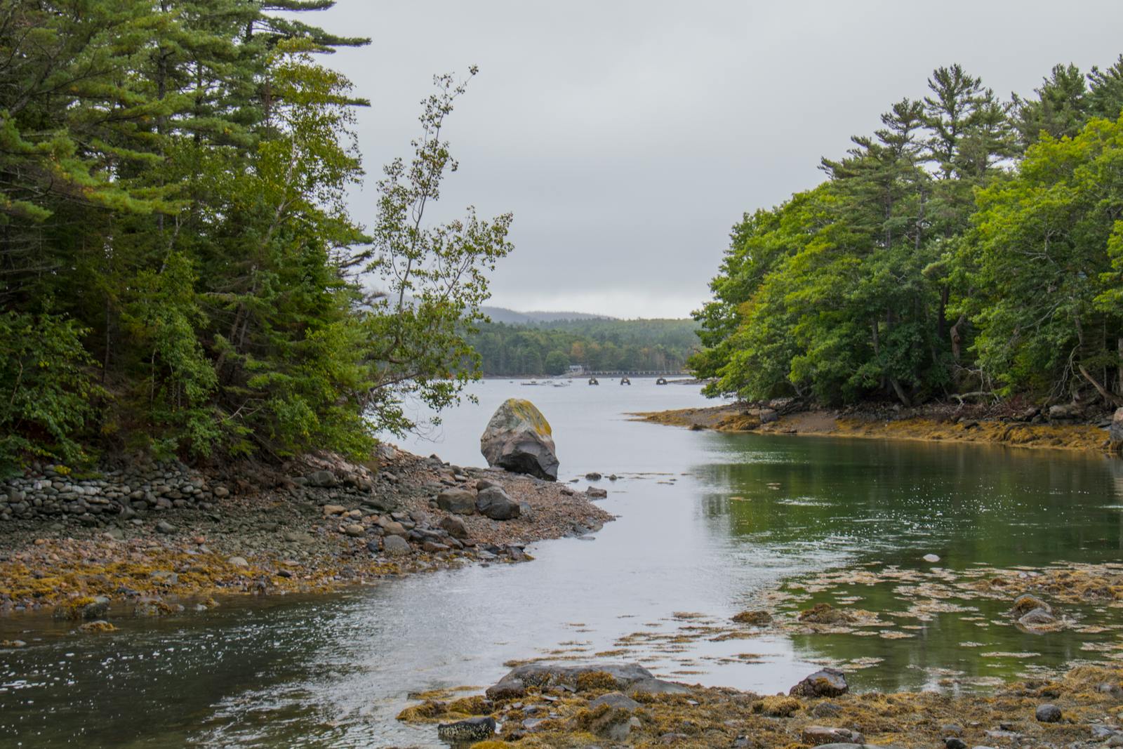 Peaceful rocky river scene surrounded by lush greenery in Acadia National Park, Maine.