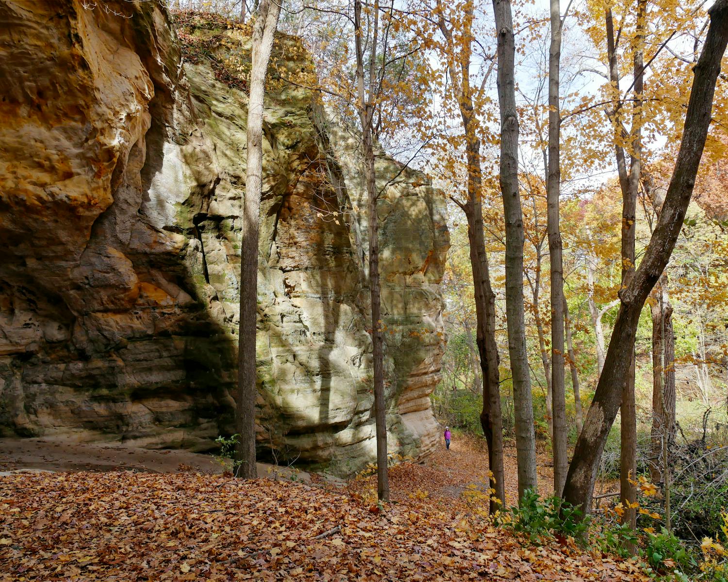 Explore a tranquil autumn landscape with rock formations and fallen leaves in Oglesby, IL.