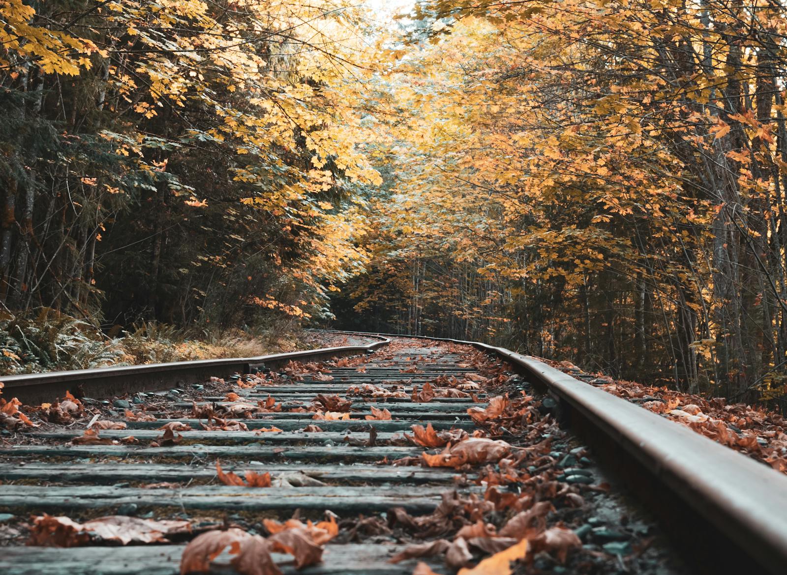 Rustic railway tracks surrounded by vibrant autumn foliage at Shawnigan Lake, BC.