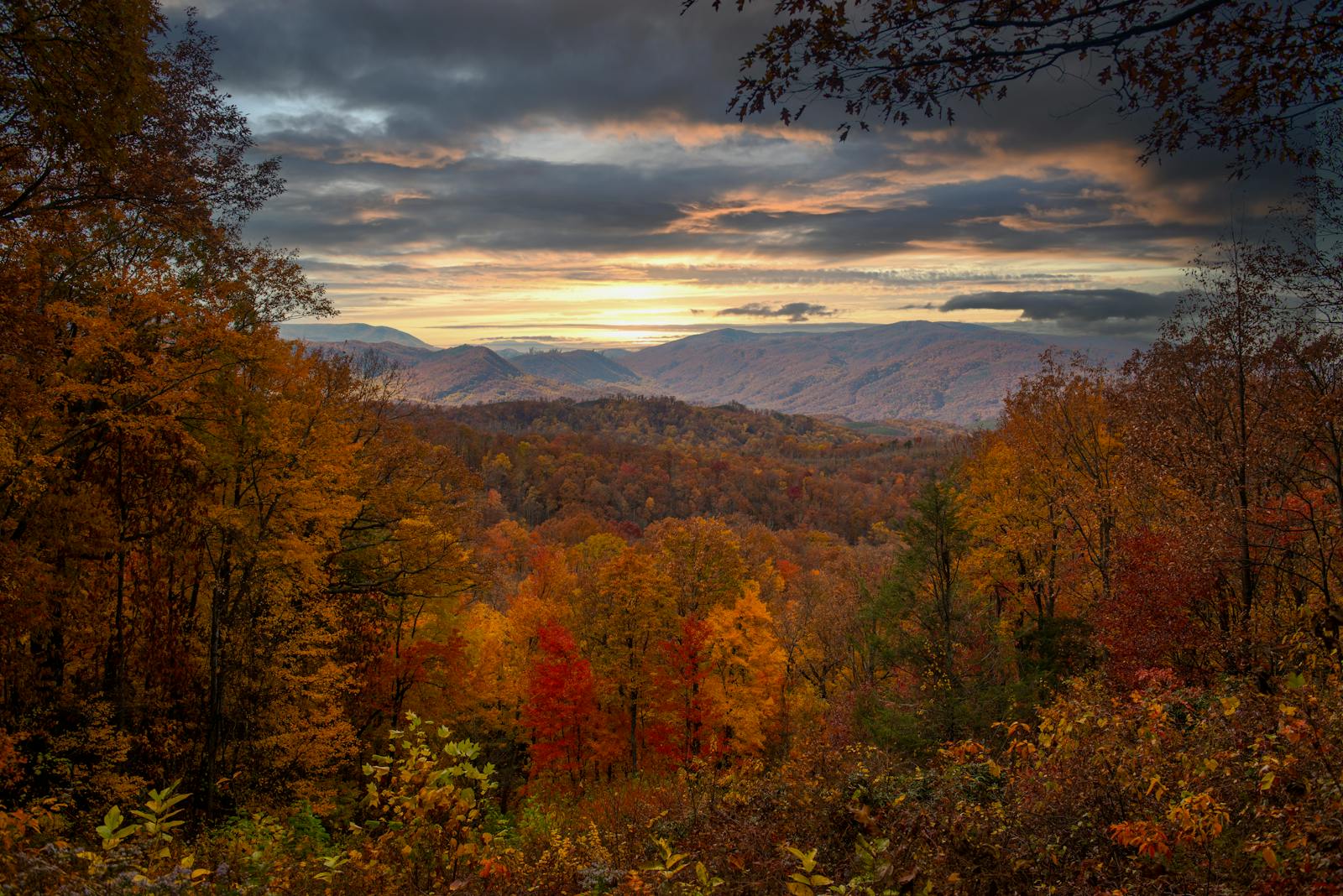 Breathtaking fall foliage scene in Gatlinburg, showcasing vibrant autumn colors under a moody sky.