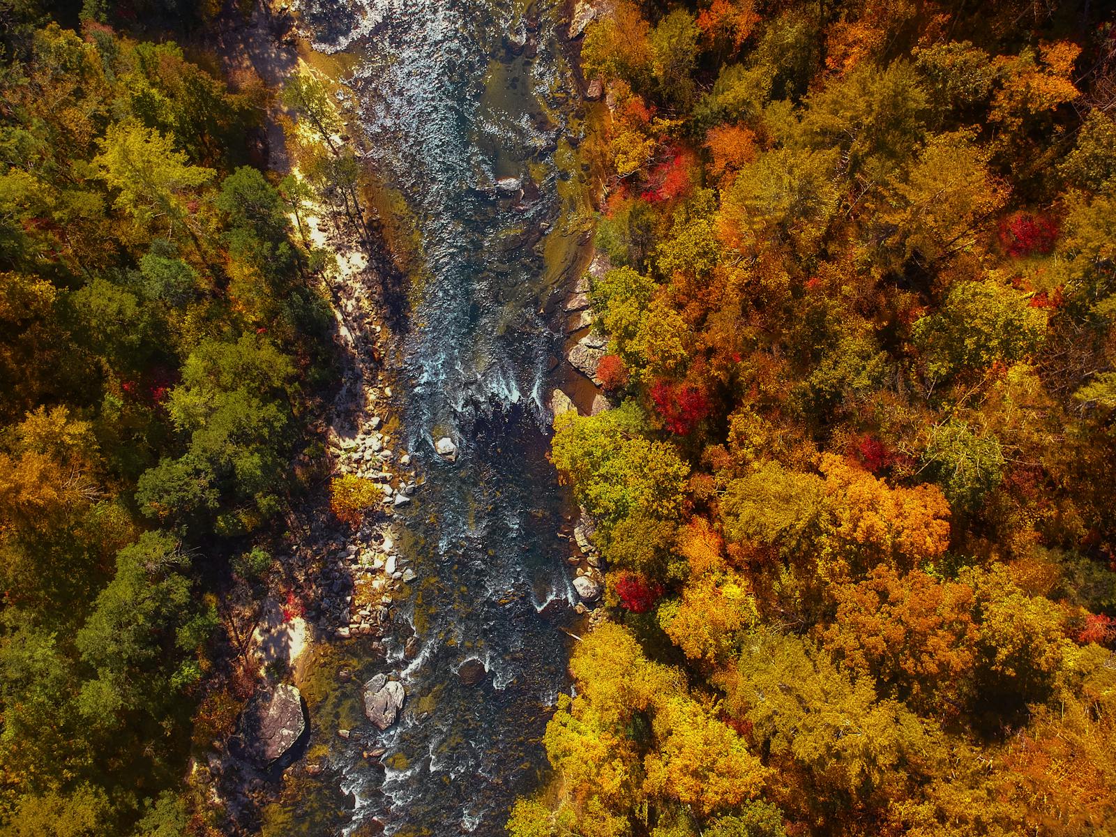 Stunning aerial view of Chattooga River, Georgia, surrounded by vibrant autumn foliage.