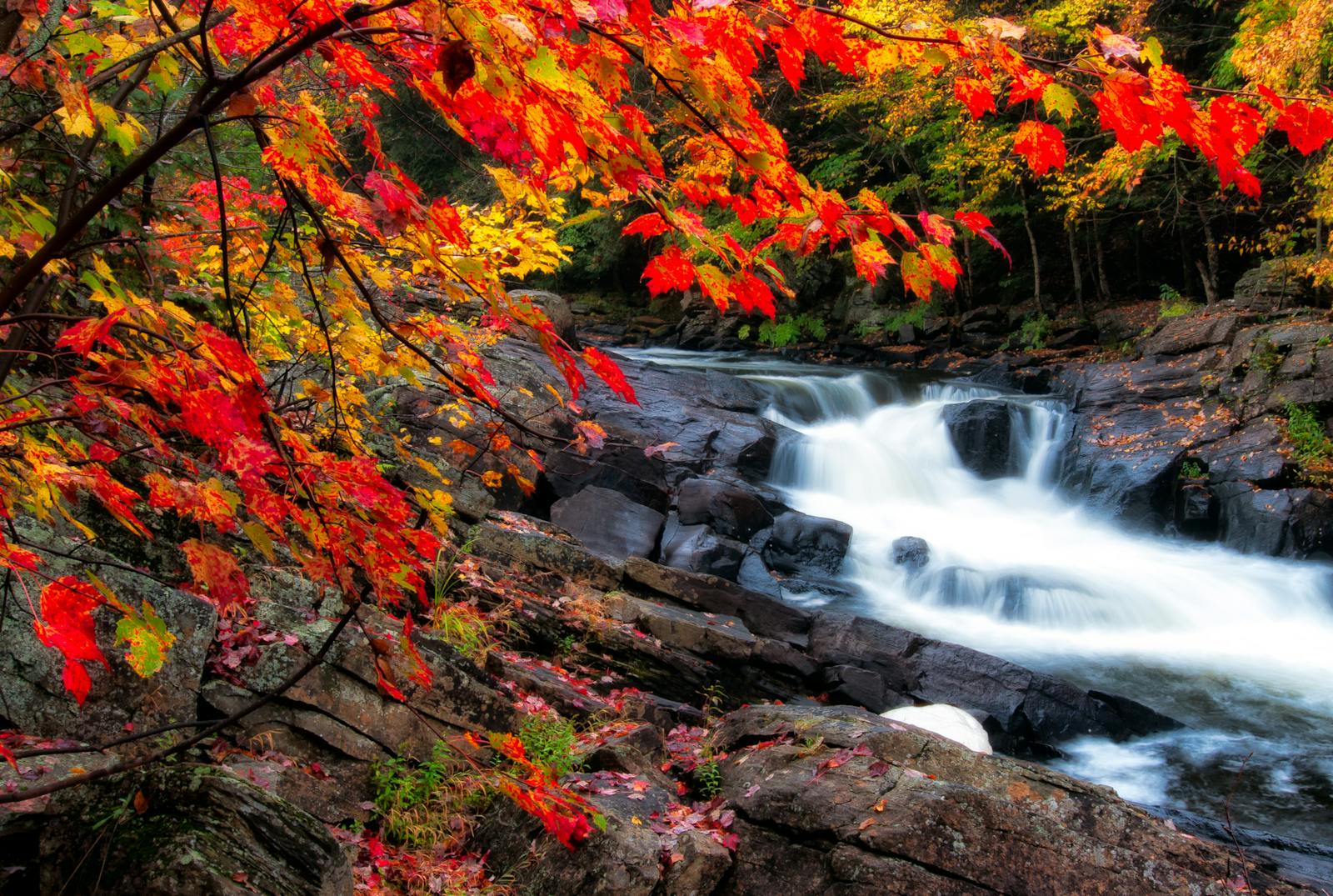 Stunning waterfall amidst vibrant autumn foliage and rocky terrain in Ontario.