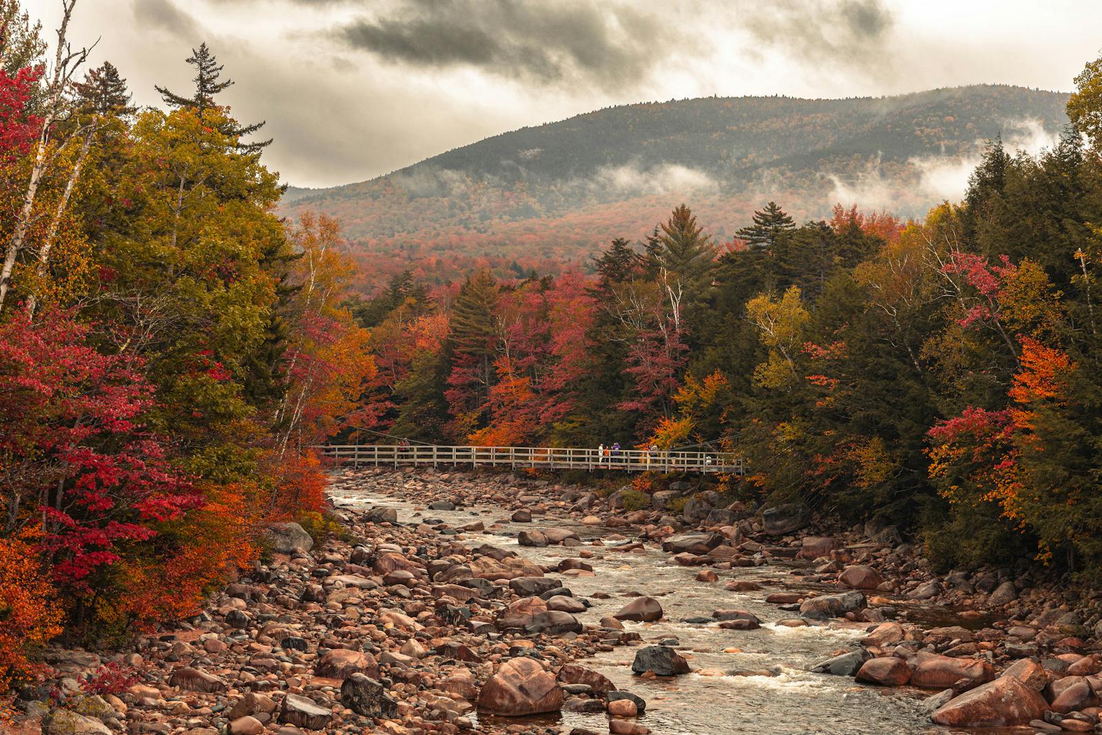 A picturesque view of a river flowing through a vibrant autumn forest, showcasing colorful leaves and serene nature.